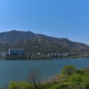 이상형묘비 이미지