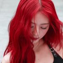 애니미용실 - 춘천시 | 애니미용실