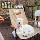 D2 | 남양주 쿼크밸리 캠프 애견동반캠핑장 D2 단점/장점 솔직후기