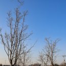 행구수변공원 화장실 이미지