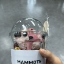 매머드 커피 신메뉴 추천 “트리플 베리 요거트 파르페” _가격 및 솔직 후기 ♥