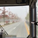 10월 일상(4) :: 공부하려고 책상 앞에 앉았는데 10월이 끝났어요?
