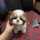 멜로디펍스 이미지