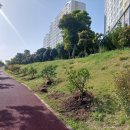 일주동로 이미지