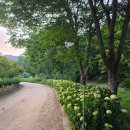 충남 공주 마곡사 다녀온 후기