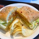 모닝콜러 이미지