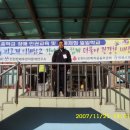 대학초등학교 이미지