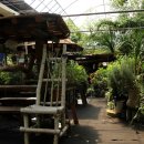 참샘농원 이미지