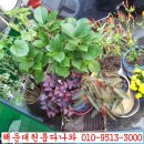신가네추어탕 - 서구 도마3길 69 | 신가네추어탕