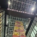 골드온천타워 앞 교통섬 | [다카마쓰] 2박3일 우동 여행 (컴포트호텔, 오니즈카타이거, 포켓몬센터, 리쓰린공원, 붓쇼잔 온천 등)