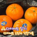 청담부부한의원과 여리한다이어트, 챗지피티와 함께하는 다이어트 2주차 식단