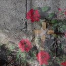 오포1동-19 이미지