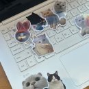 첨단조은약국 이미지