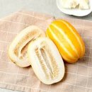 성주농장 이미지