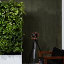 맑음그린 이미지