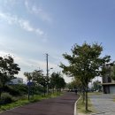 강동조정경기장입구 | 용인 가볼만한곳 기흥 조정경기장 황화코스모스 보고 어반리프 다녀온 후기