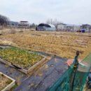 동리 농장 이미지