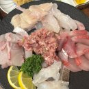 남해-232 | 전주 송천동 신상횟집 예약 필수 남해막회