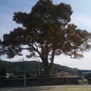 내서읍430 이미지