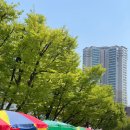 동묘시장 구경👀 (구제 빈티지샵, 고기튀김 맛집, 중고LP 사구팔구, 빈티지가구 만물상단)