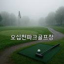 오십천 파크골프장 티스토리