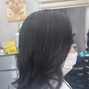 최선 헤어 네이버블로그