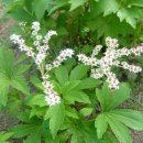 이태원초교 이미지