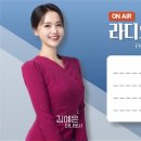 [자동차보험 휴업손해액] 이미지