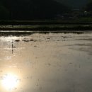 신덕마을 이미지