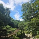 수도산 자연휴양림 | 숲캉스의 정석 김천 수도산 자연휴양림