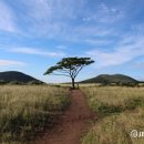 더 테쉬폰 이미지