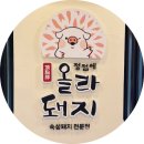 정점에올라돼지 이미지