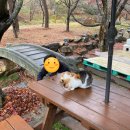 정수산장가든