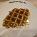 매머드익스프레스종로 이미지