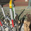 관동초등학교 이미지