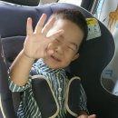 29개월 아기 첫 치과 방문 / 영유아 구강검진
