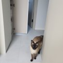 혜리콩 이미지