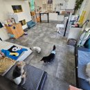 안녕, 상이 친구들! 이미지