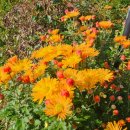 가평쉼뜰 단체독채 펜션 이미지