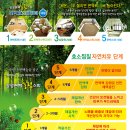 오투스토리 캠핑장 이미지