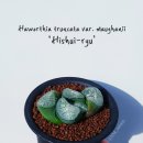 정명유통