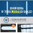 둥지당구장