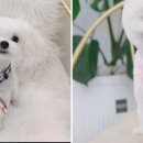 어서왈왈 이미지