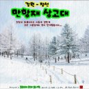 강원꽃화원 이미지