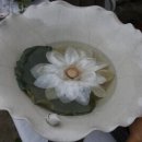 방목흑돼지 네이버블로그