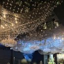 로즈-인 | [사회 후기] 광주 홀리데이인 로즈홀 💍