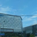 팜스퀘어약국 | [판교 나인트리] 3개월도 안된 5성급 뺨치는 신축 호텔 후기! (조식,수영장,라운지나인) +야놀자로 예약!