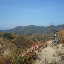 매봉산2 이미지