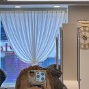 신데렐라주얼리 | 전주 신시가지 미용실 기장추가 숱추가 없는 미용실 모즈토리에서 신데렐라 복구클리닉 받은 후기