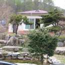숲속&펜션민박 이미지